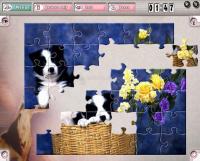 Foto Pastime Puzzles Deluxe