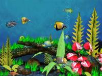 Pantallazo Fish Aquarium 3D Screensaver