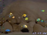 Foto Fish Aquarium 3D Screensaver