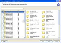 Screenshot NTFS Recovery Wizard