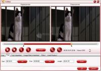 Screenshot Pavtube DVD to 3GP Converter