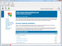 Screenshot Website Auditor