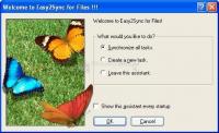 Pantallazo Easy2Sync for Files