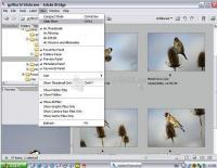 Pantallazo FLV Importer Pro for Adobe Premiere Pro