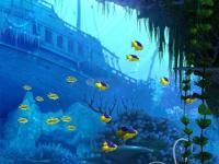 Foto Coral Reef 3D Screensaver