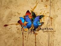 Pantallazo Beauty Butterflies