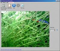 Pantallazo CamShot Monitoring Software