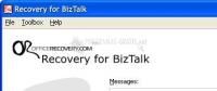 Pantallazo Recovery for BizTalk