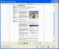 Pantallazo PDF Printer Pilot