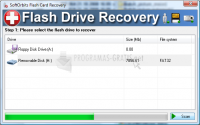 Pantallazo Flash Drive Recovery