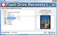 Foto Flash Drive Recovery