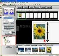 Screenshot eXPress Collage Suite