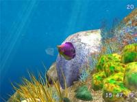 Captura Under the Sea 3D screensaver