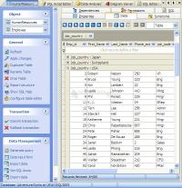 Captura de pantalla MS SQL Maestro