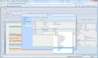 Screenshot Stimulsoft Reports Designer.Web