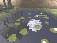 Screenshot Lovely Pond