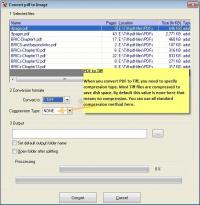 Screenshot Tiffsoftware PDF to Image Converter