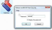Pantallazo USB Flash Security