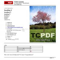 Pantallazo TCPDF