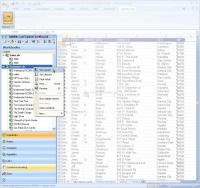 Pantallazo Explorer for MS Excel