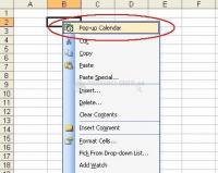 Screenshot Pop-up Excel Calendar