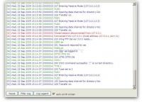 Screenshot Wing FTP Server