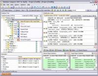 Pantallazo EMS DB Comparer for MySQL