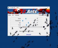 Foto 12 Ants