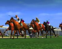 Foto Horse Racing Manager 2