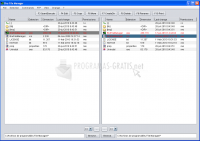 Pantallazo Bru File Manager