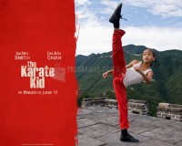Pantallazo The Karate Kid