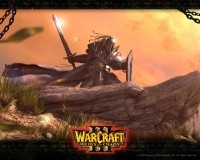 Pantallazo Warcraft III
