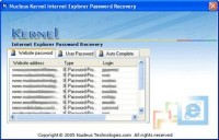 Pantallazo Nucleus Kernel Internet Explorer Password Recovery