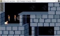 Screenshot DOS Emulator