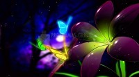Foto Fantastic Butterfly Animated Wallpaper