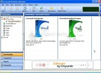 Pantallazo Chrysanth Download Manager
