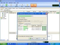 Foto Chrysanth Download Manager