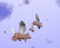 Foto When Pigs Fly 3D Screensaver