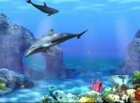 Foto Living 3D Dolphins Free ScreenSaver