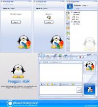 Screenshot Penguin MSN SKin