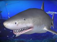 Pantallazo Free Living 3D Sharks ScreenSaver