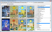 Pantallazo Visual Tarot Professional Edition