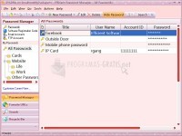 Pantallazo Efficient Password Manager Network