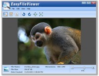 Captura ParetoLogic EasyFileViewer