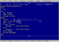 Pantallazo Turbo Pascal