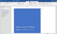 Pantallazo Microsoft Word