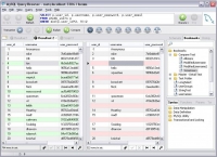 Screenshot MySQL GUI Tools