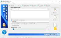 Pantallazo Fast Encryptor