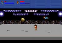 Captura de pantalla Little Fighter II