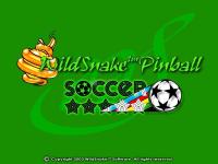 Captura WS Pinball Soccer